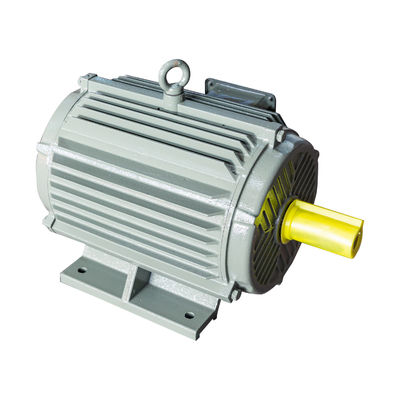 Motor van de de Kooiinductie van de Electrico380v Eekhoorn 3 Fasehoogspanning