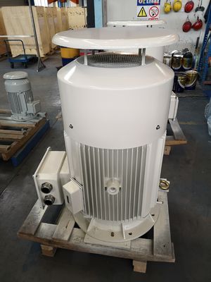 OEM van de de Kooimotor 380v IE4 van de Laag Voltageeekhoorn de Asynchrone Motor