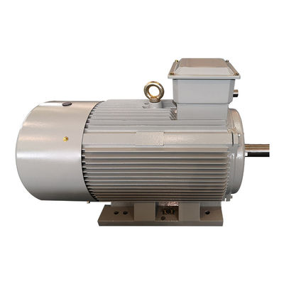 Het Voltageac van Misstapring induction motor asynchronous low Motor in drie stadia ISO9001