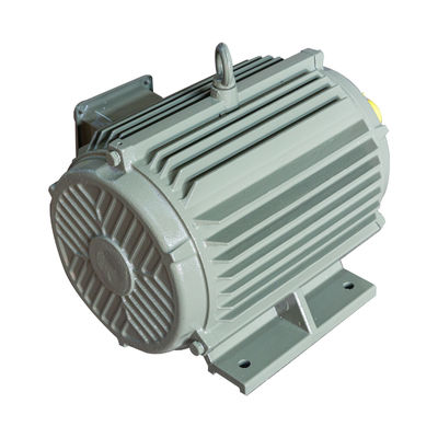 380v / 400v 3 Faseac Elektrische Motor ISO9001 van de Generator de Horizontale Inductie