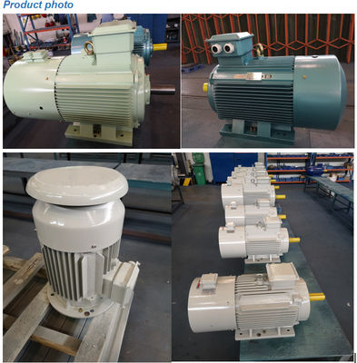 van de het Lage Voltageinductie van 18kw 18.5kw de Motor380v Elektrische Motor voor Pompen