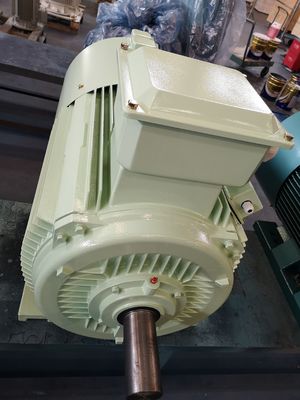18.5kw AC van de de Eekhoornkooi van de Gietijzer Elektrische Motor Asynchrone Motor In drie stadia