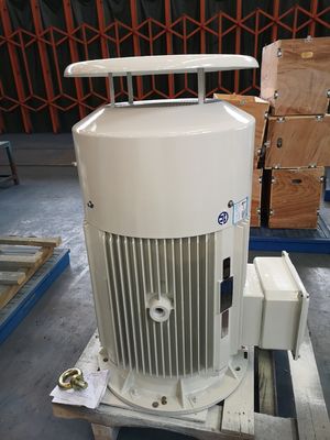 18.5kw AC van de de Eekhoornkooi van de Gietijzer Elektrische Motor Asynchrone Motor In drie stadia