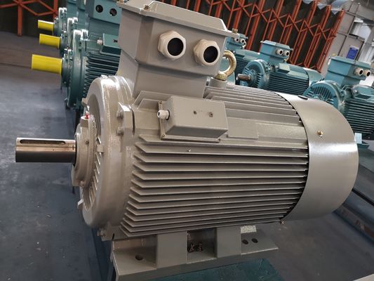 van de het Voltageeekhoorn van 6kv 10kv Middelgrote van de de Kooiinductie de Motoromschakelaar In drie stadia